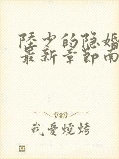 陆少的隐婚罪妻最新章节南溪