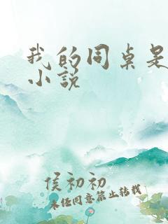 我的同桌是校花小说