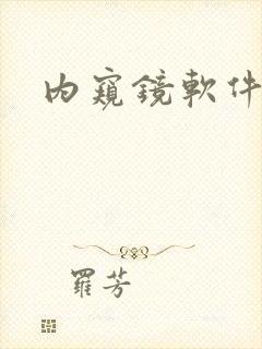 内窥镜软件下载