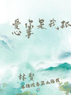 爱你是我孤独的心事