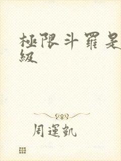 极限斗罗是多少级