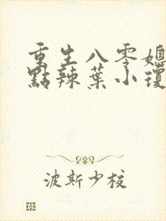 重生八零媳妇有点辣叶小琼