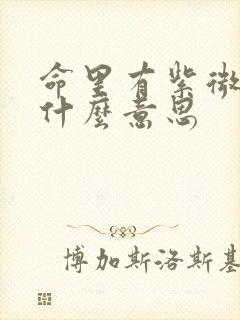 命里有紫微星是什么意思