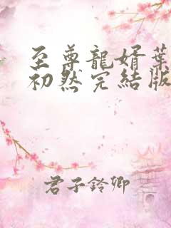 至尊龙婿叶辰萧初然完结版