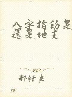 八字指的是天干还是地支