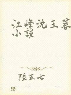 江峰沈玉蓉全文小说