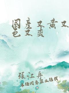 国产又黄又大又色又爽
