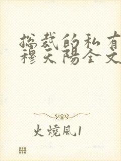 总裁的私有宝贝穆天阳全文免费阅读