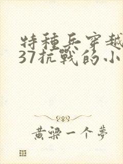 特种兵穿越1937抗战的小说