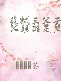 苏轼三父子谁是父亲谁是儿子