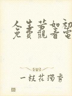 人生若如初相见免费观看电视剧
