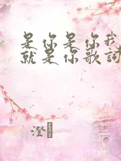 是你是你我爱的就是你歌词是什么歌
