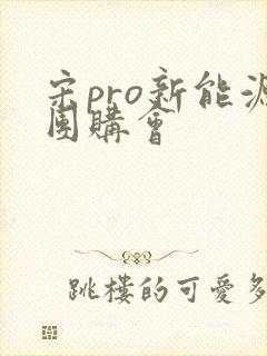 宋pro新能源团购会