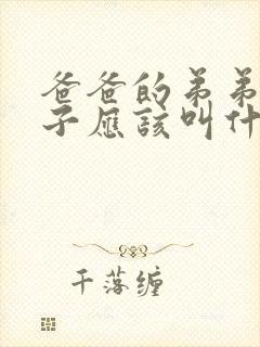 爸爸的弟弟的儿子应该叫什么