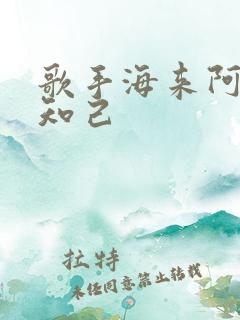 歌手海来阿木别知己