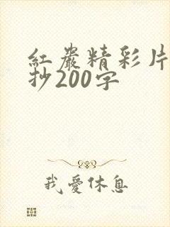 红岩精彩片段摘抄200字