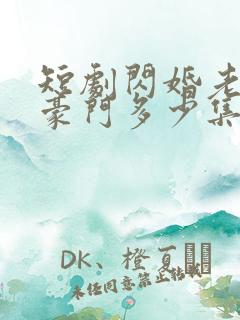 短剧闪婚老公是豪门多少集