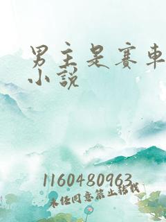 男主是赛车手的小说