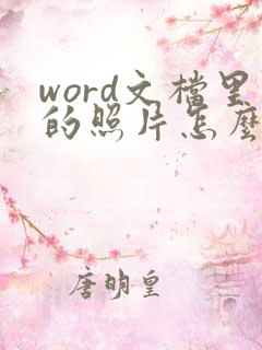 word文档里的照片怎么压缩大小