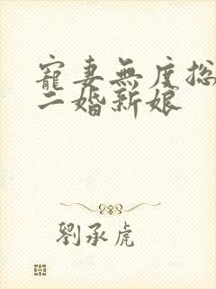 宠妻无度总裁的二婚新娘