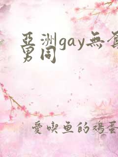 亚洲gay无套男同