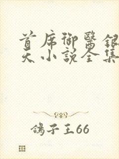 首席御医银河九天小说全集免费