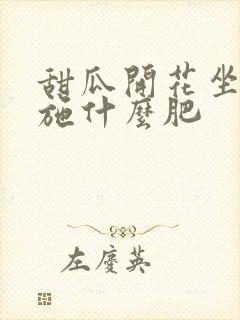 甜瓜开花坐果期施什么肥