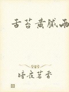 舌苔黄腻两边厚