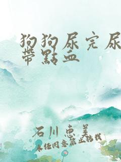 狗狗尿完尿最后带点血