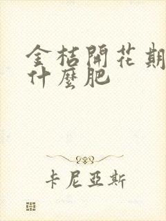 金桔开花期间施什么肥