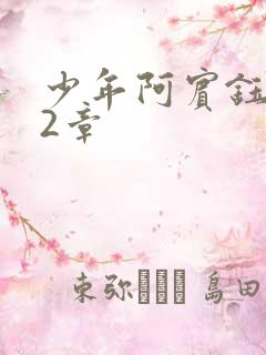 少年阿宾钰慧12章