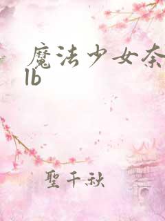 魔法少女奈叶slb