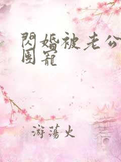 闪婚被老公全家团宠