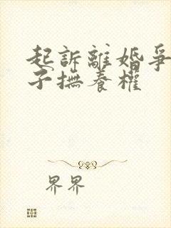 起诉离婚争夺孩子抚养权