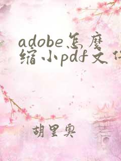 adobe怎么缩小pdf文件大小