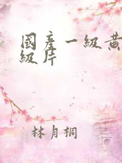 国产一级黄色一级片