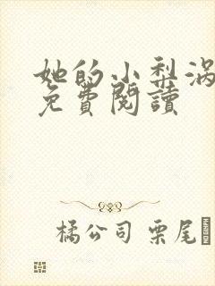 她的小梨涡完本免费阅读