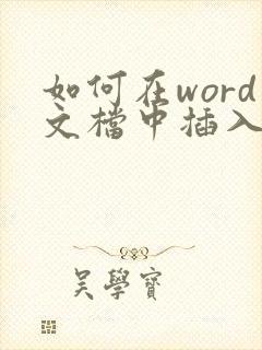 如何在word文档中插入文件