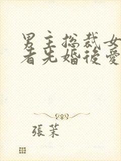 男主总裁女主记者先婚后爱
