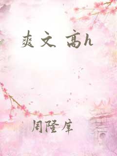 爽文 高h