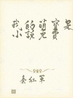 我的萌宝是僚机小说免费