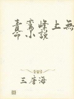青鸾峰上无敌天命小说