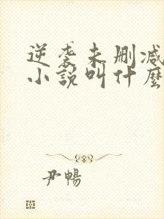 逆袭未删减原著小说叫什么