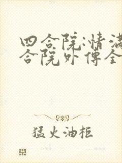 四合院:情满四合院外传全