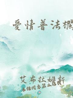 爱情普法栏目剧