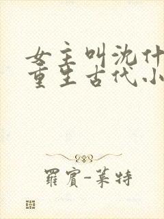 女主叫沈什么的重生古代小说