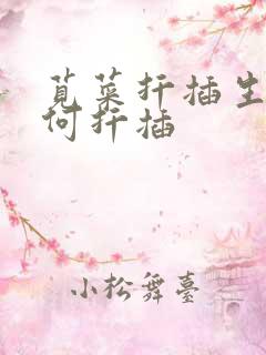 苋菜扦插生根如何扦插