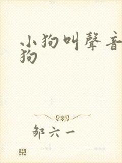 小狗叫声音吸引狗
