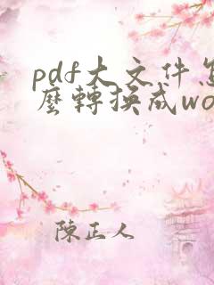 pdf大文件怎么转换成word文件
