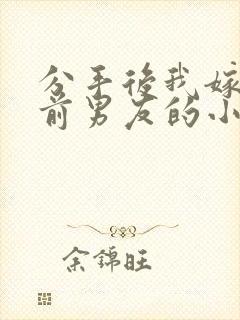 分手后我嫁给了前男友的小叔小说